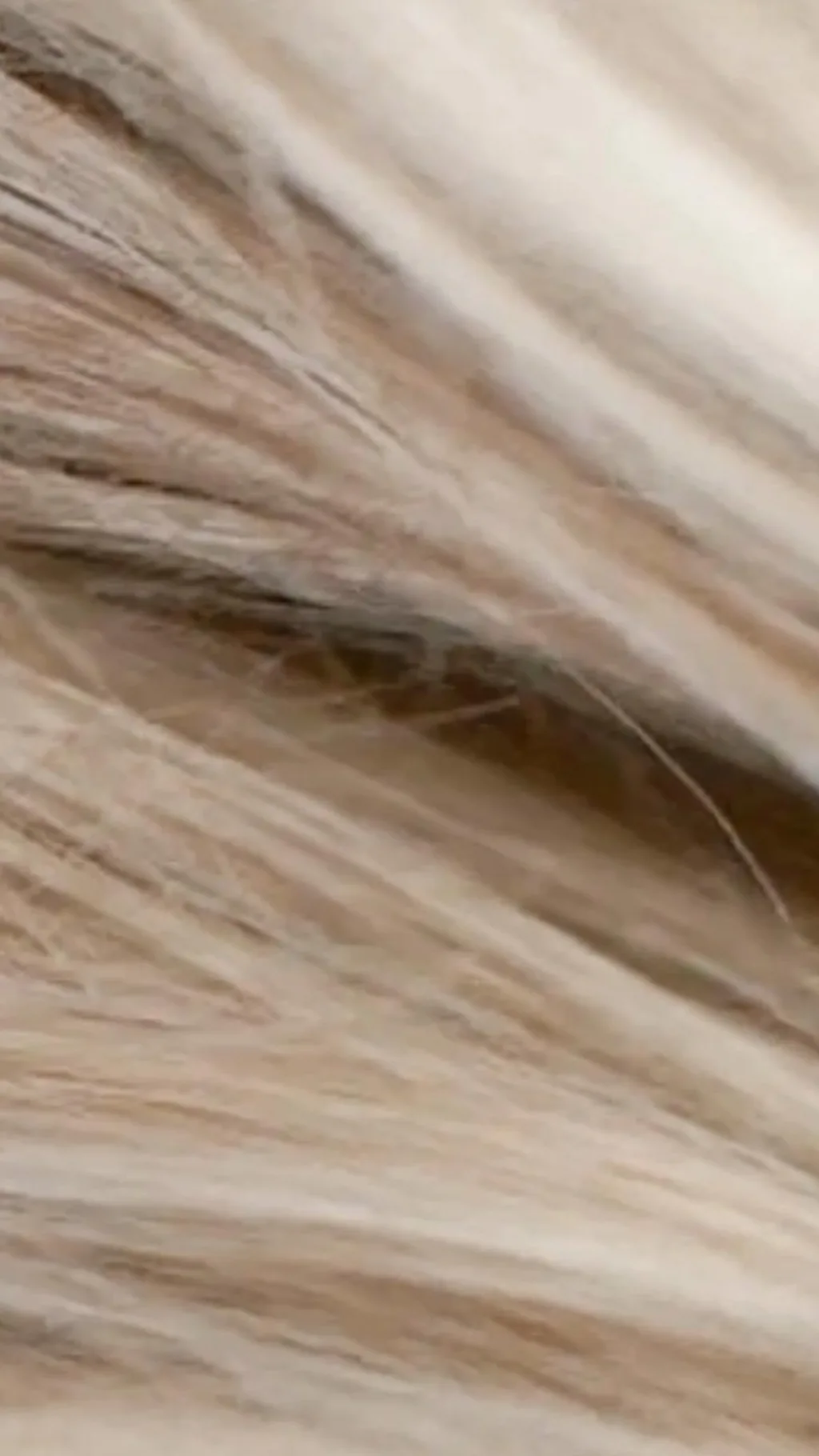 พบสารเคมีอันตรายเกือบ 50 ชนิด ในตัวอย่าง "ผมต่อ"