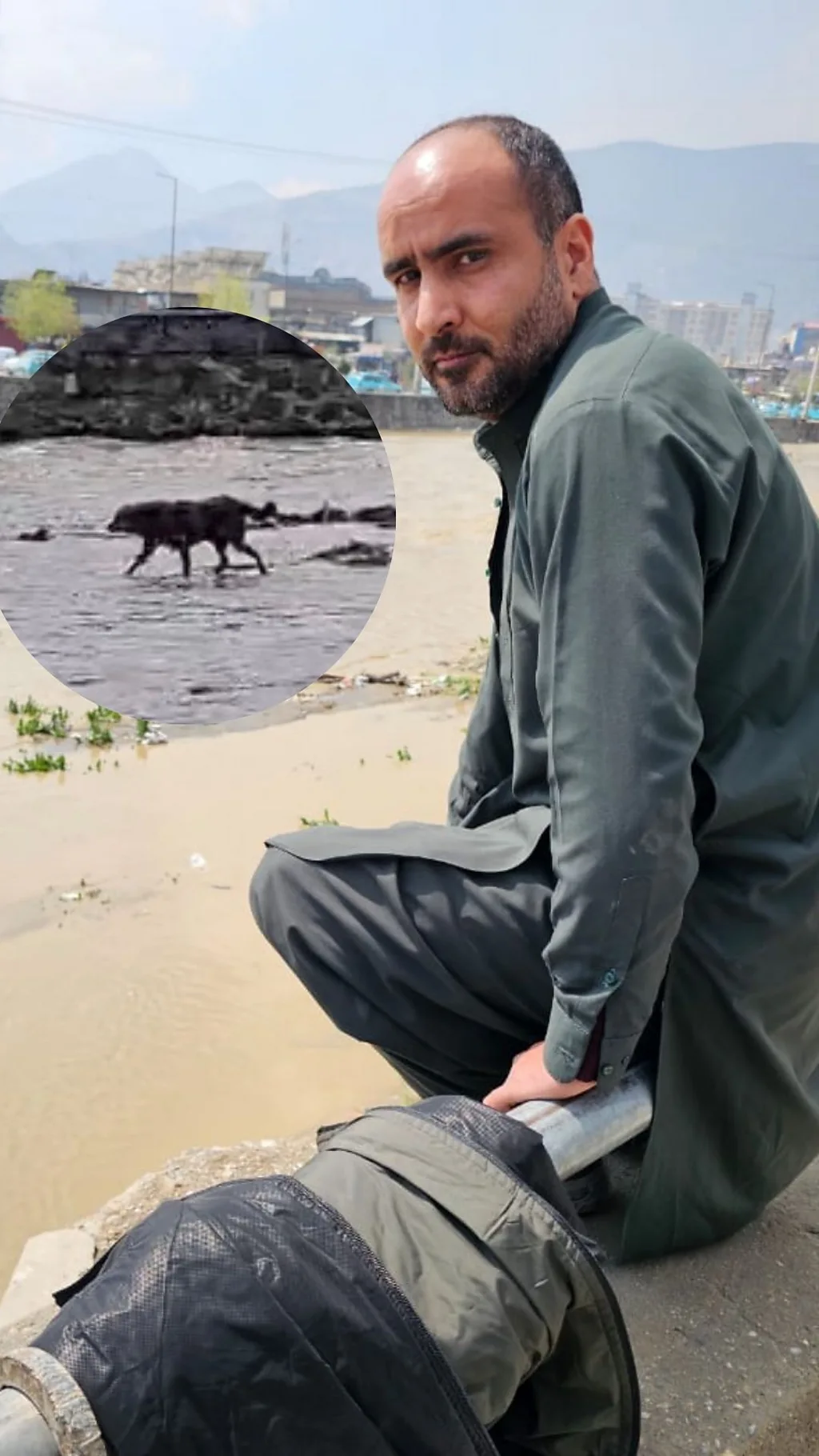 کابل کې د ایسار سپي ژغورل