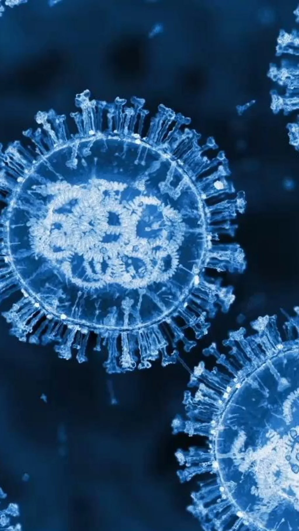 เชื้อโควิดกลายพันธุ์ "ซิคาดา" น่ากังวลแค่ไหน