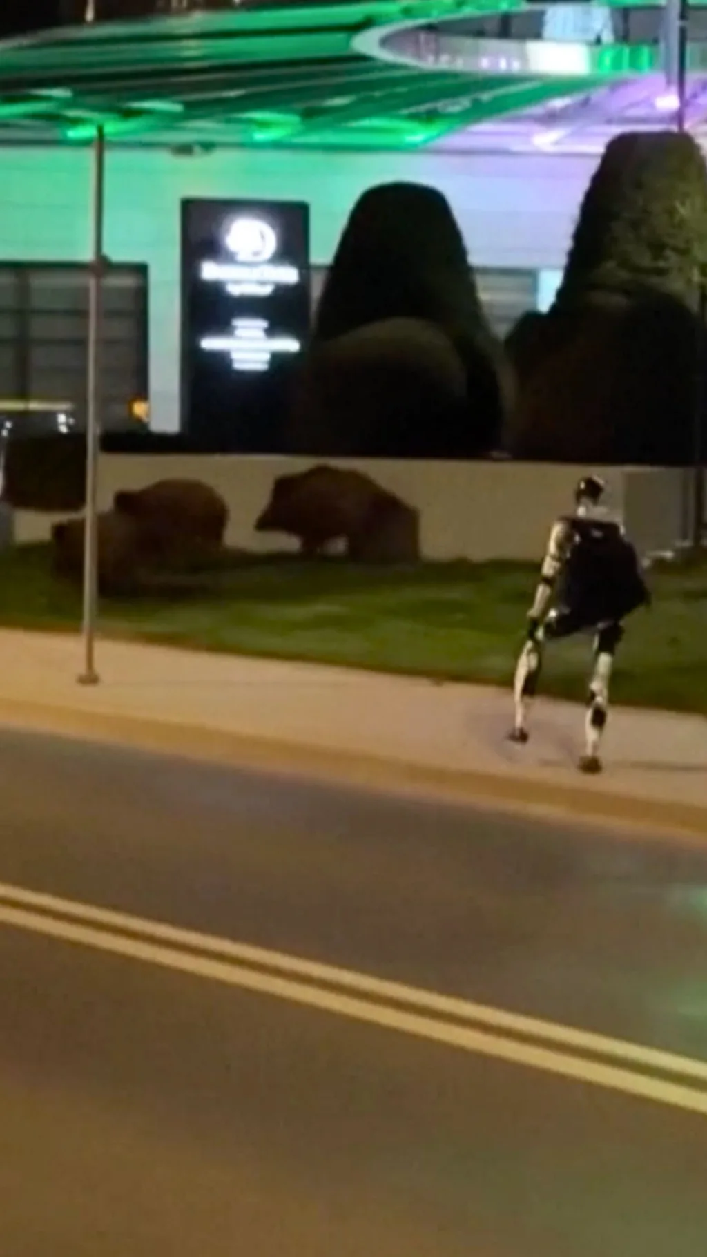 Робот і кабани