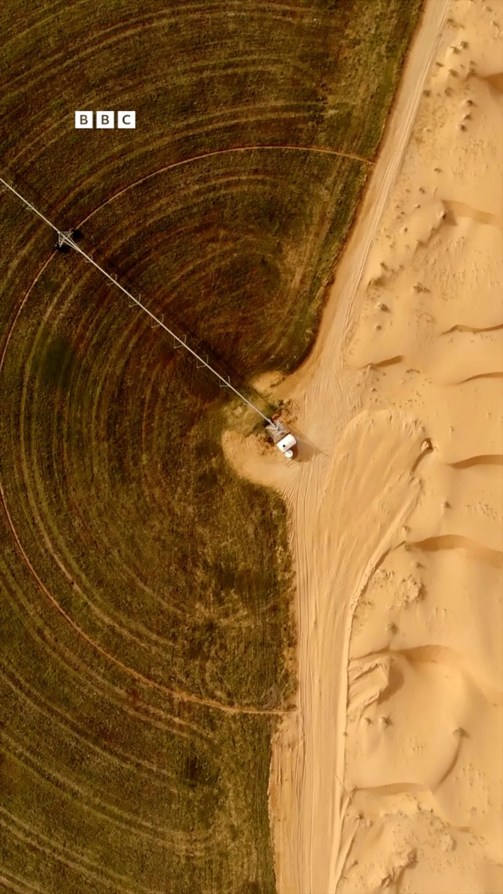 Sahrolarni ko‘kalamzorga aylantira olamizmi?