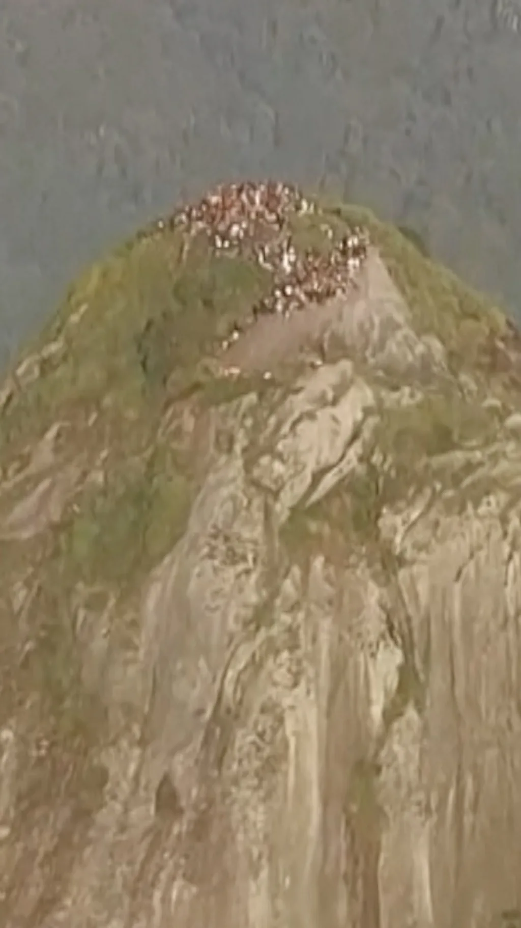 200 туристов застряли на горе