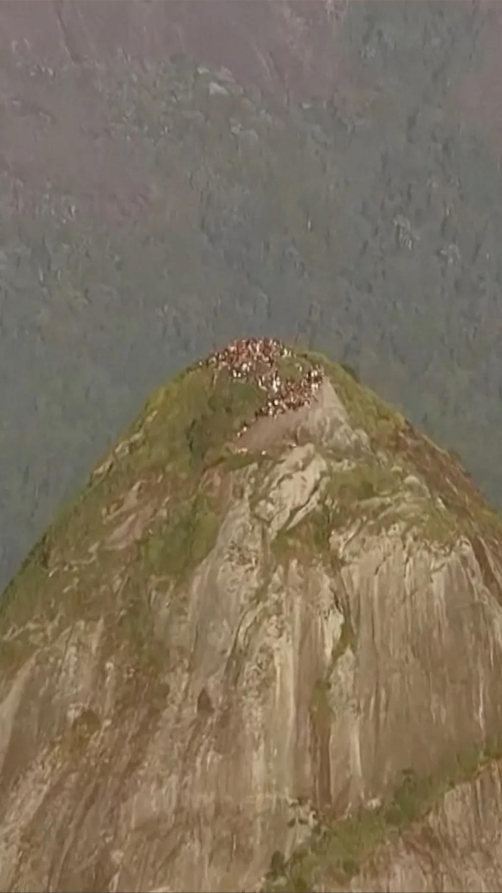 ยอดเขาในบราซิล