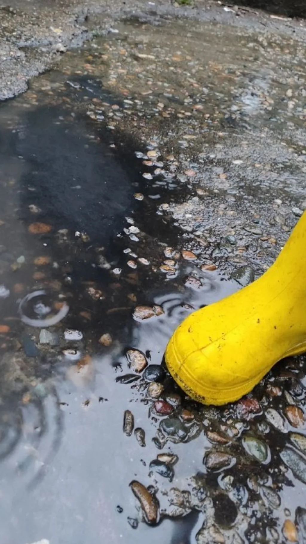 нефтяная лужа и детская нога