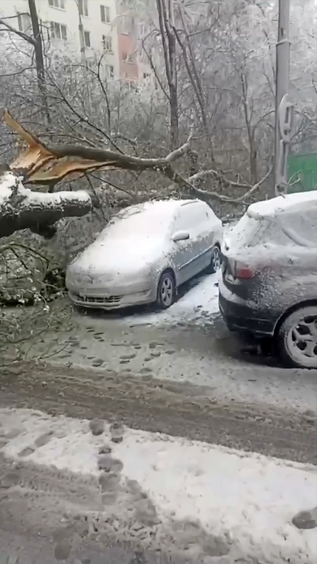 Рекордный снегопад в Москве