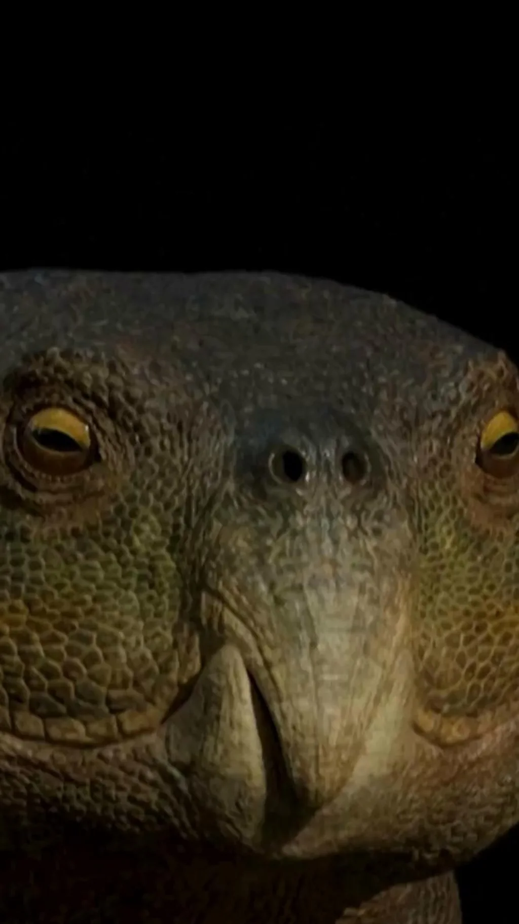 23 कोटी वर्षं जुना सरपटणारा प्राणी