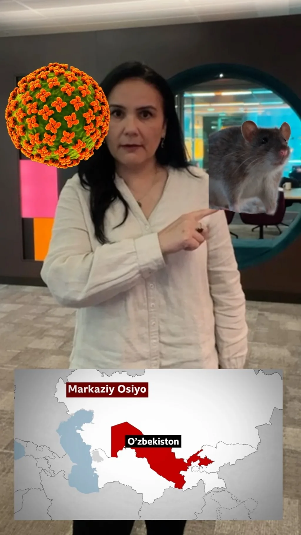 Hantavirus tarqalyaptimi?