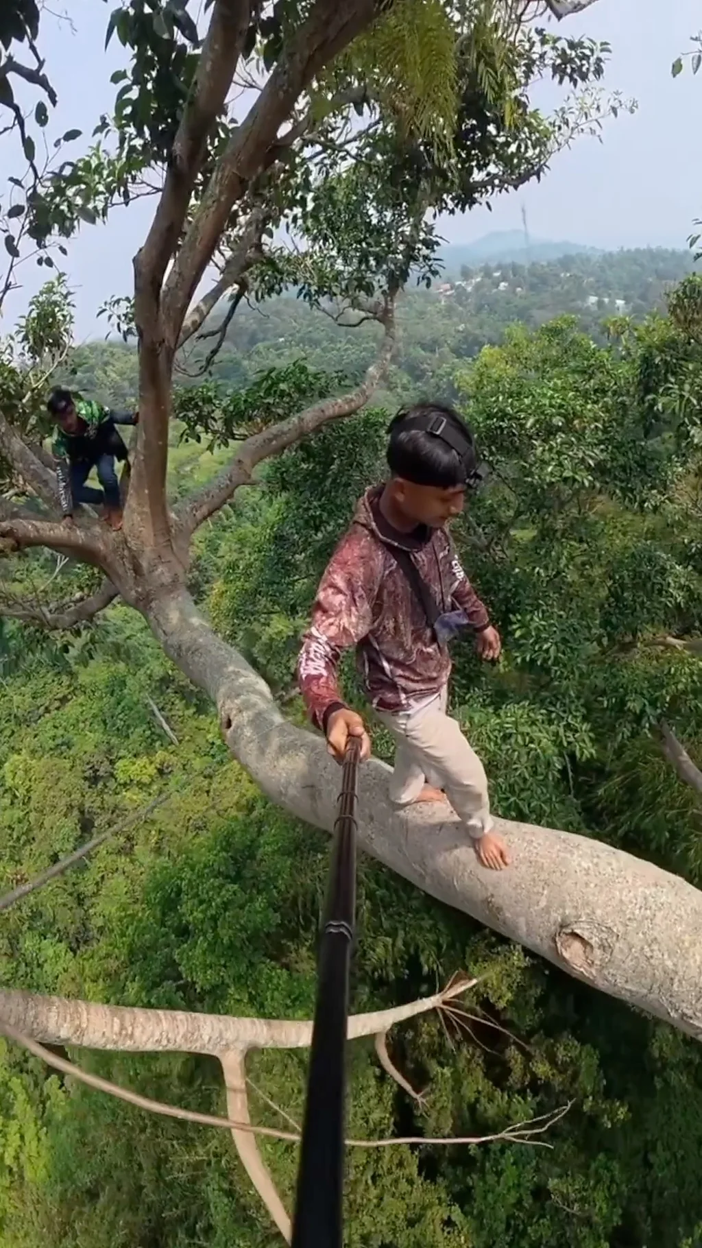 जङ्गली मौरीको मह काढ्न ५० मिटर अग्ला रूख चढ्नेहरू