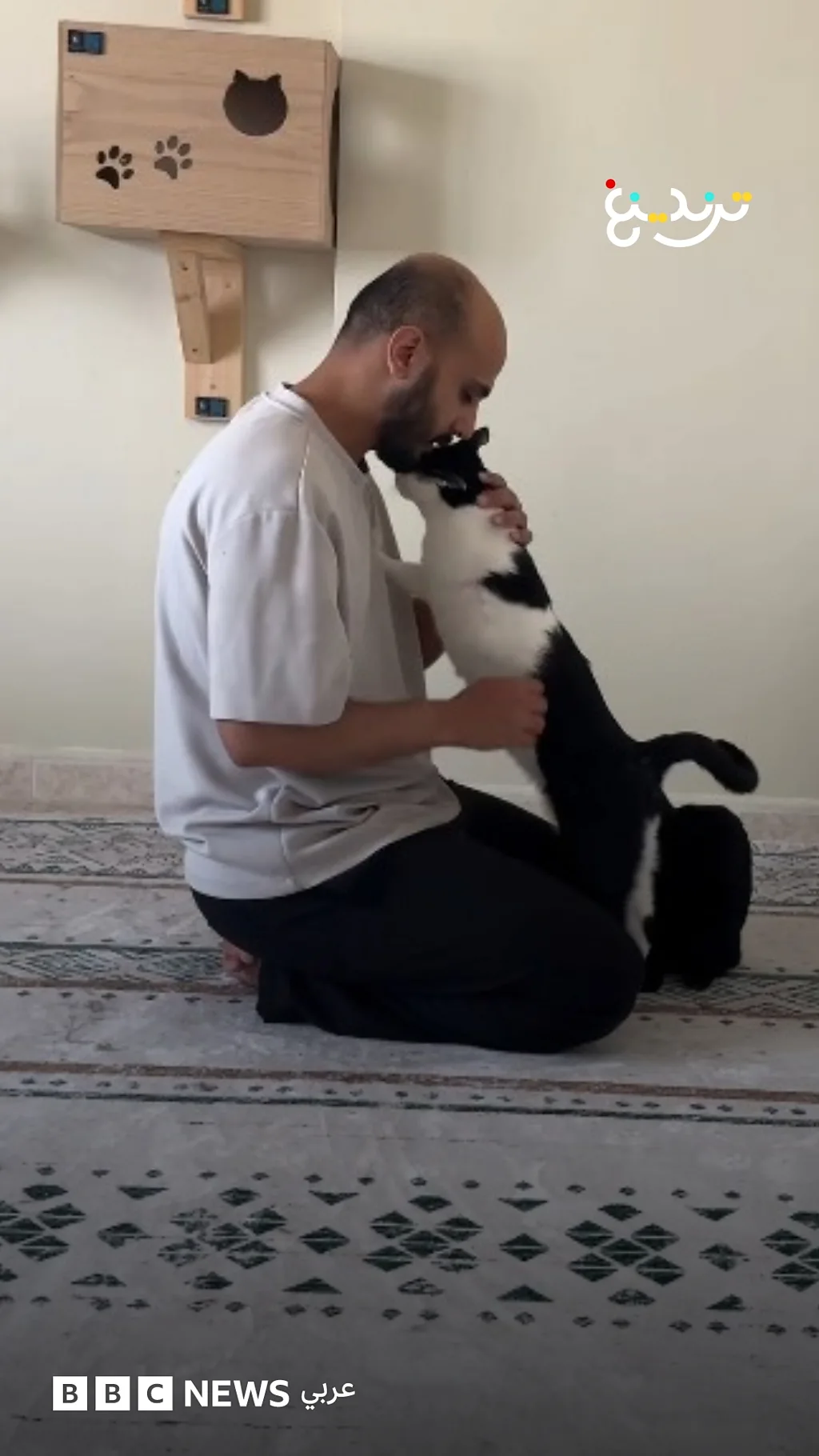 "رعاية القطط غيرت من شخصيتي" الشاب محمد عبد الله يتحدث عن تربيته لقطط تعاني من أمراض مزمنة