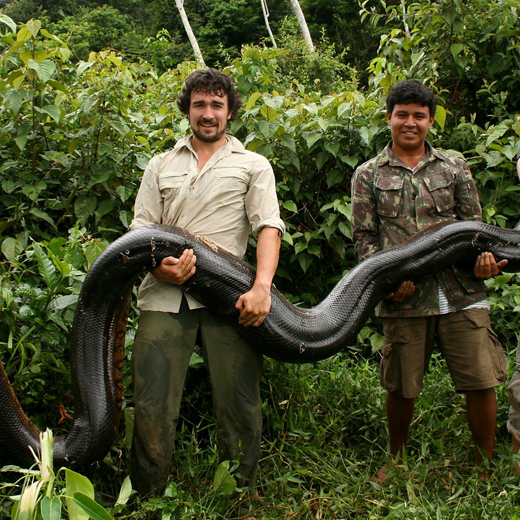Future Research and Studies on Giant Snakes