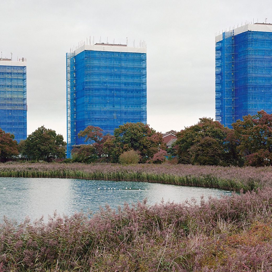 BBC Arts - BBC Arts - The 'magical sadness' where nature meets the