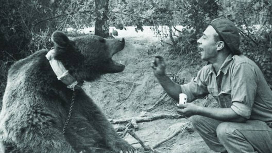 Corporal Wojtek and friend.