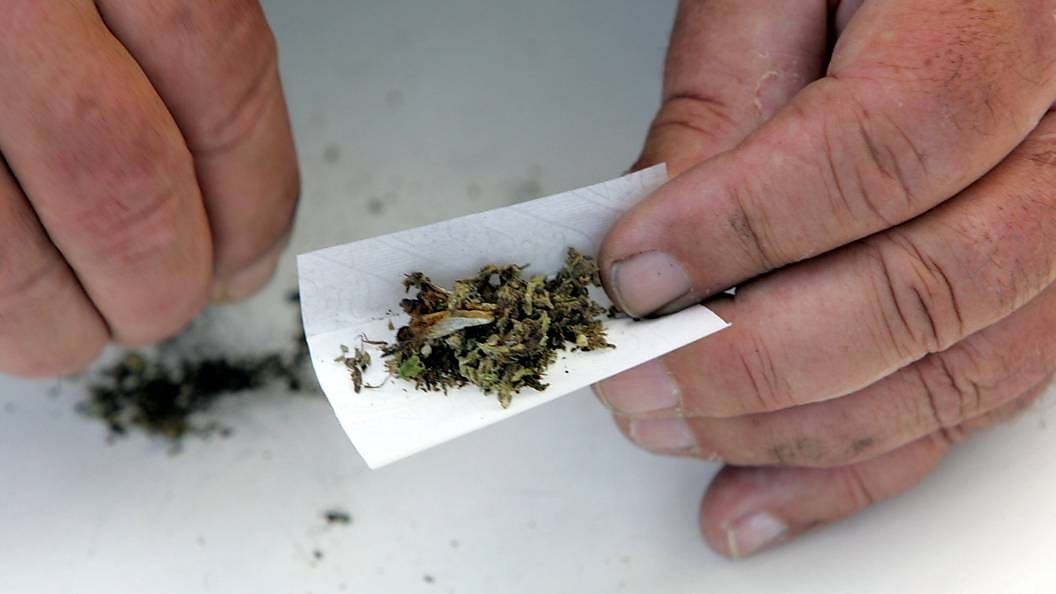 Oxford University launches £10m marijuana research programme