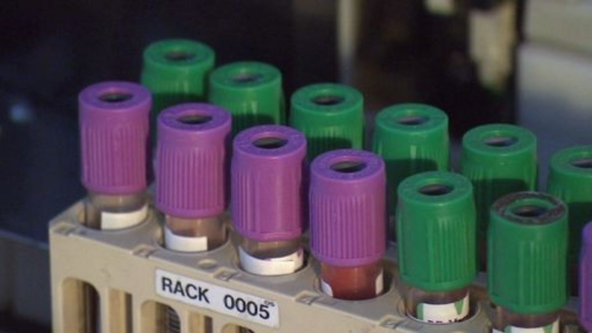 BBC Two iScience, DNA and the Human Genome Project