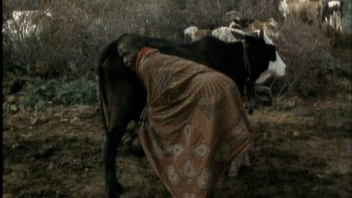 BBC Two Primary Geography, Kenya, Kenya and World Food and Trade