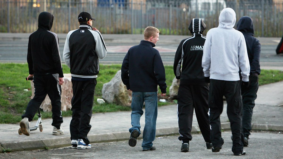 My internship experience essay image