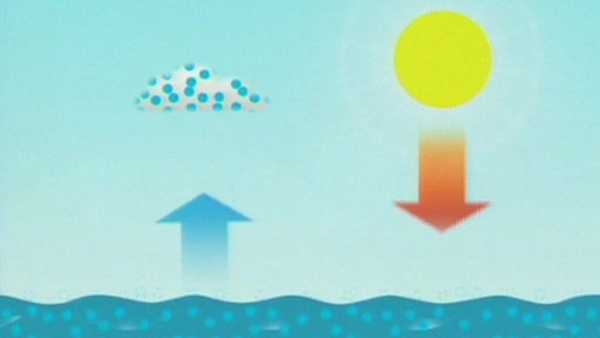BBC Two - Primary Geography, Weather, Rain, The water cycle BBC Two - Primary Geography, Weather, Rain, The water cycle
