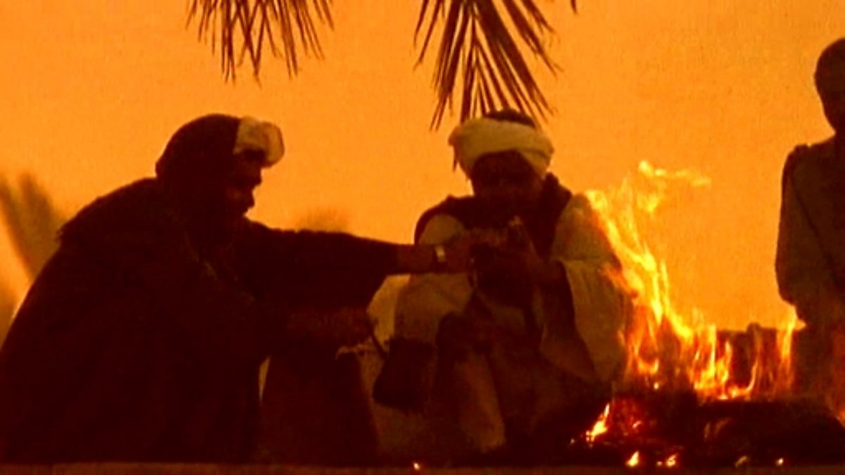 BBC Two - Pathways of Belief, Christianity - Easter, The riddle of Palm ...