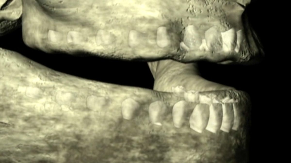 BBC Two Science Clips Investigates, Teeth and Eating, Food and the
