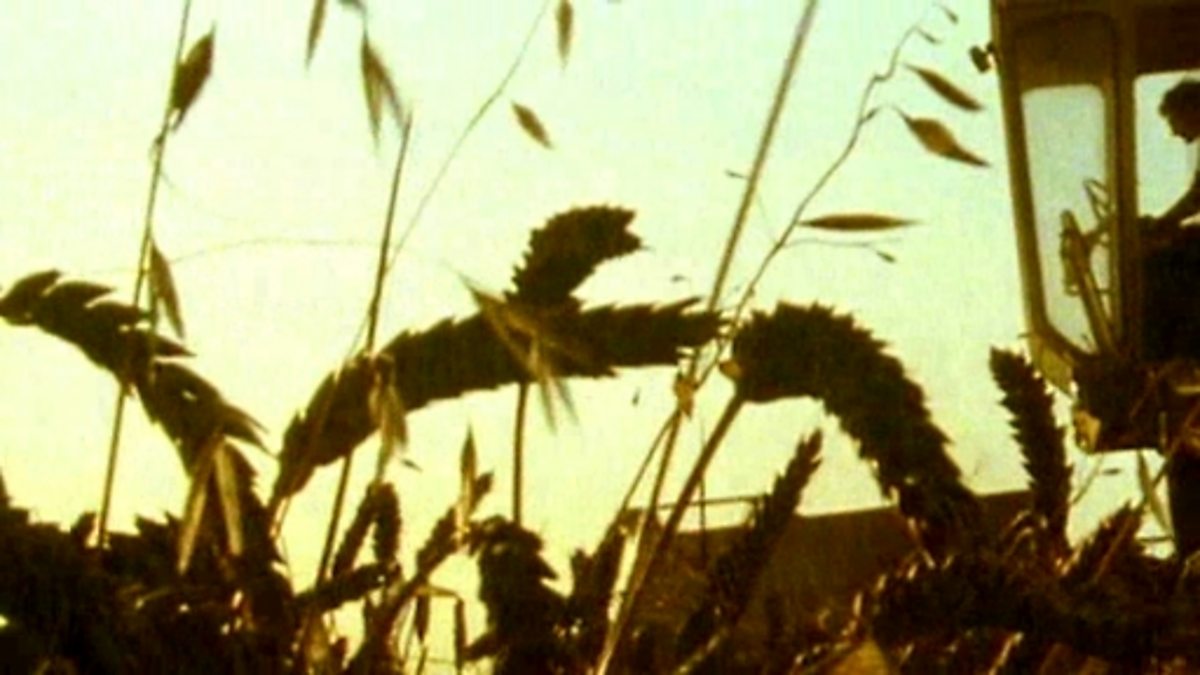 Science Clips Habitats Food chains on a farm Biology Diagrams