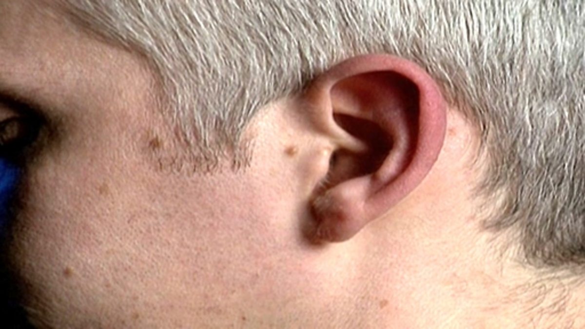 BBC Two KS1 Science Clips, Sound and Hearing, How sound can be perceived by people of