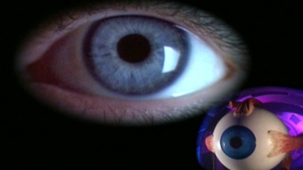 bbc-two-science-clips-how-we-see-things-the-human-eye-and-how-it-works