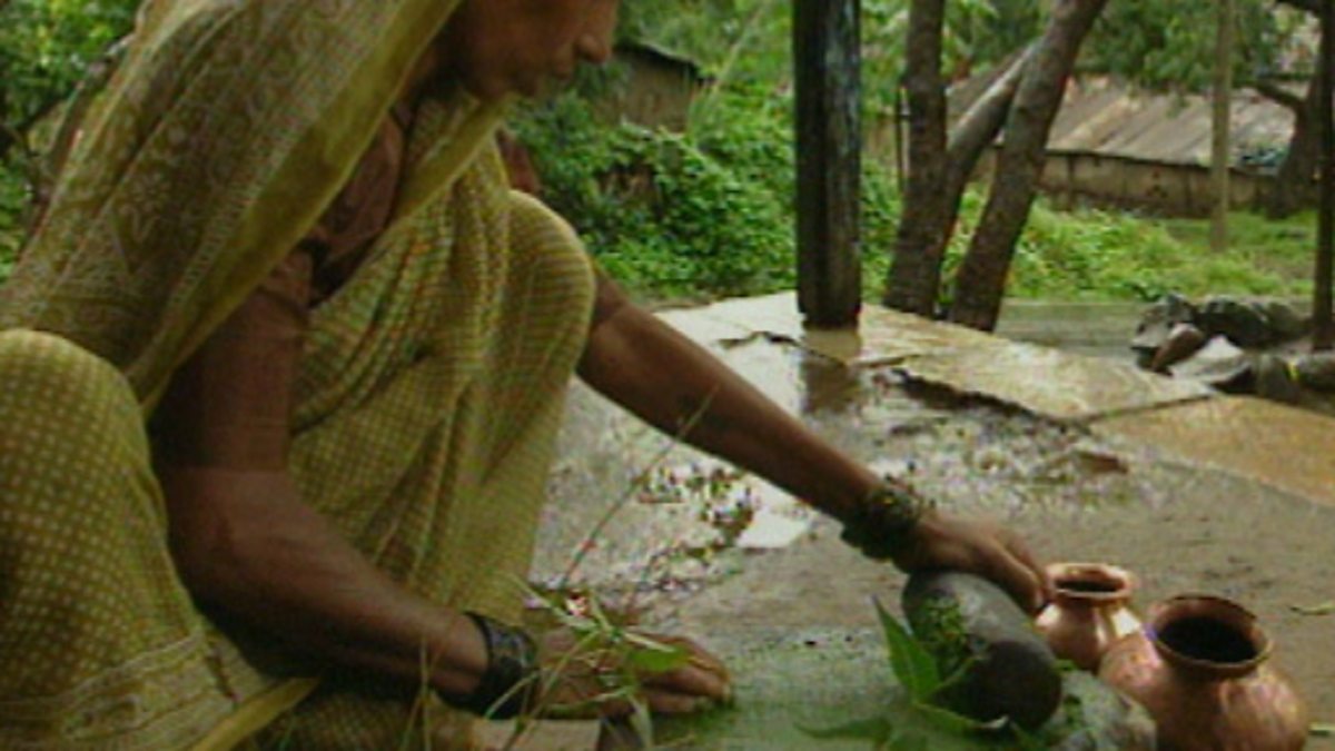 Bbc two bitesize biology plants as a source of food and medicine