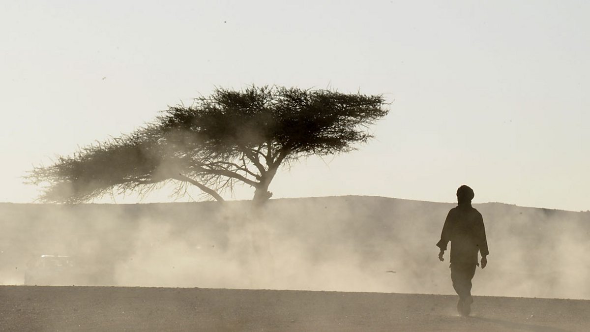 BBC World Service - The Documentary, Studio In The Sand, Studio in the Sand