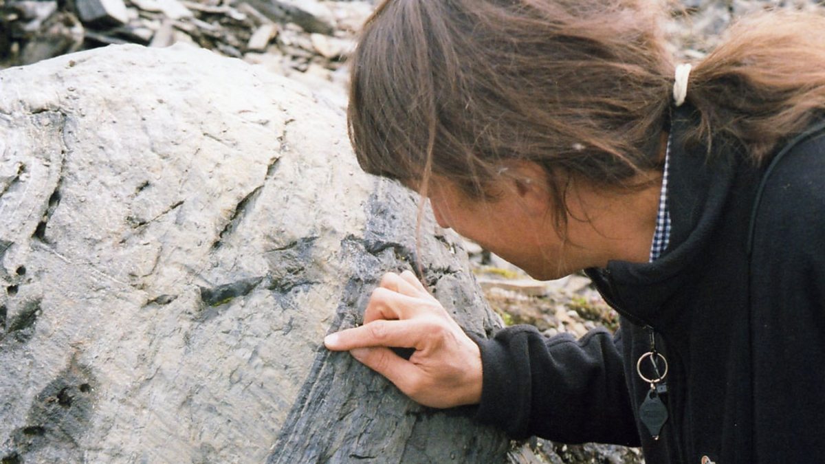 BBC World Service Discovery Plate Tectonics and Life