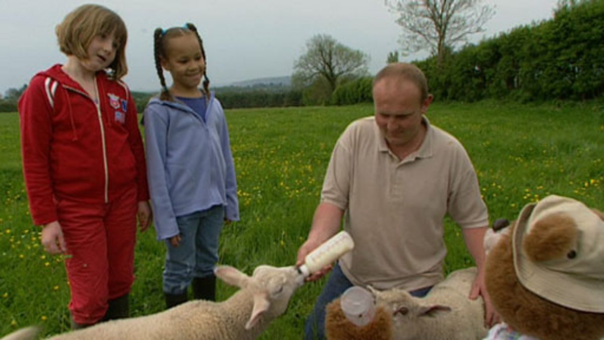 CBeebies Barnaby Bear, Barnaby on the Farm, Working on a livestock farm