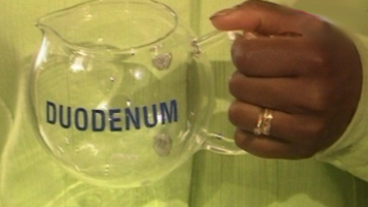 BBC Two Key Stage Three Bitesize Revision, Science 1, Digestion in