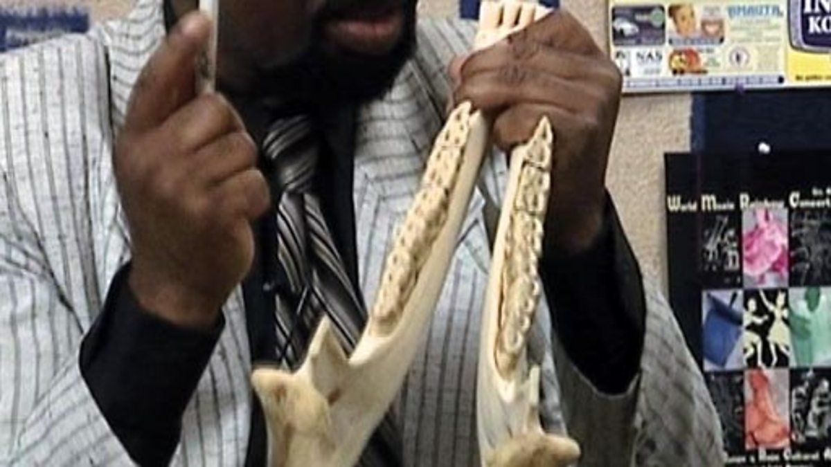 BBC Two Bitesize Secondary, Travels with Music, Playing the quijada (a donkey jawbone)