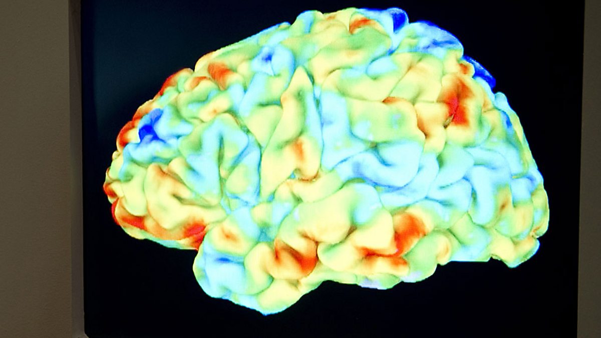 Brains could. Мозг link.