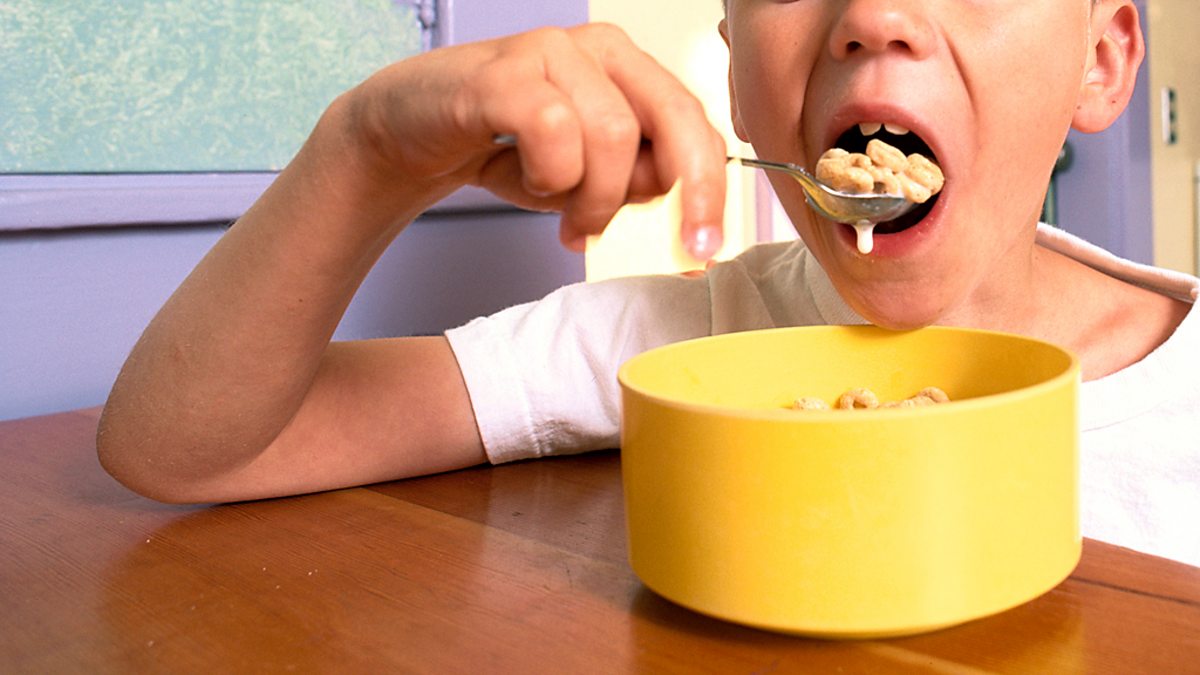 BBC Two Science Clips Investigates, Keeping Healthy