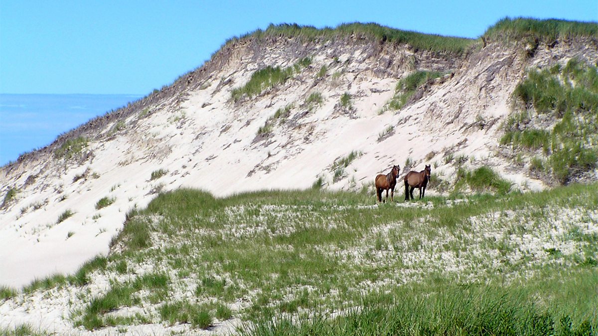 BBC Radio 4 Extra - Sable Island - A Dune Adrift