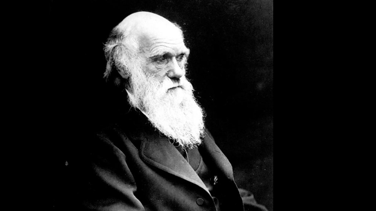BBC Radio 4 - In Our Time, Darwin: In Our Time, Darwin: Life After Origins