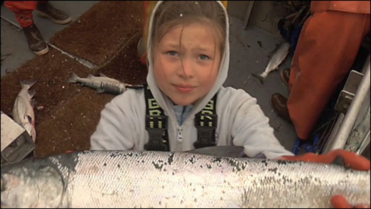 BBC World Service The Documentary, The Battle Of King Salmon, Episode 1