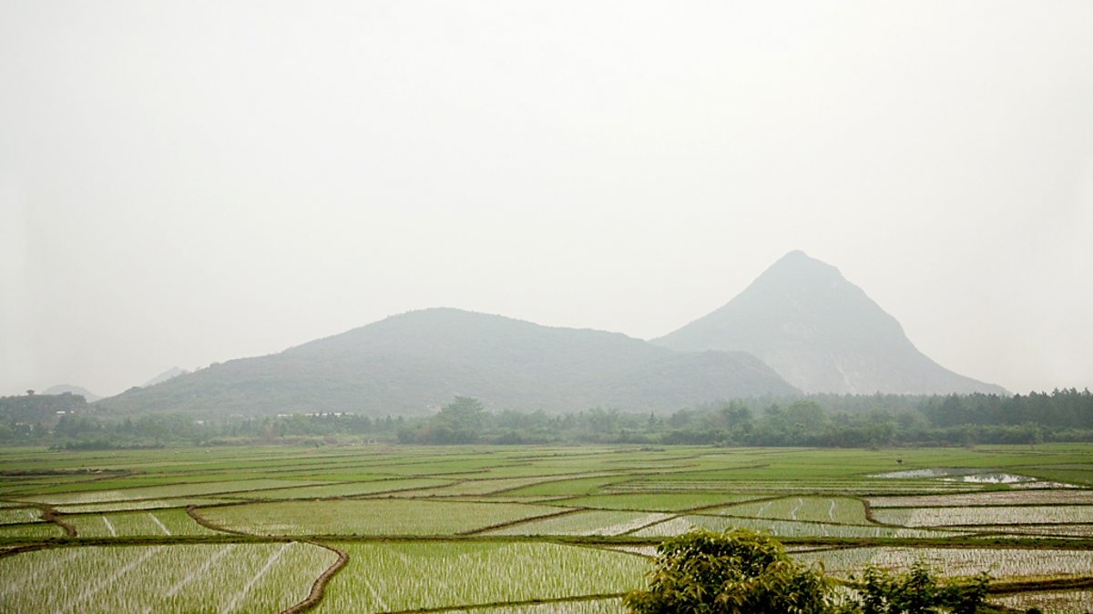 BBC News Our World, White Horse Village Rebirth