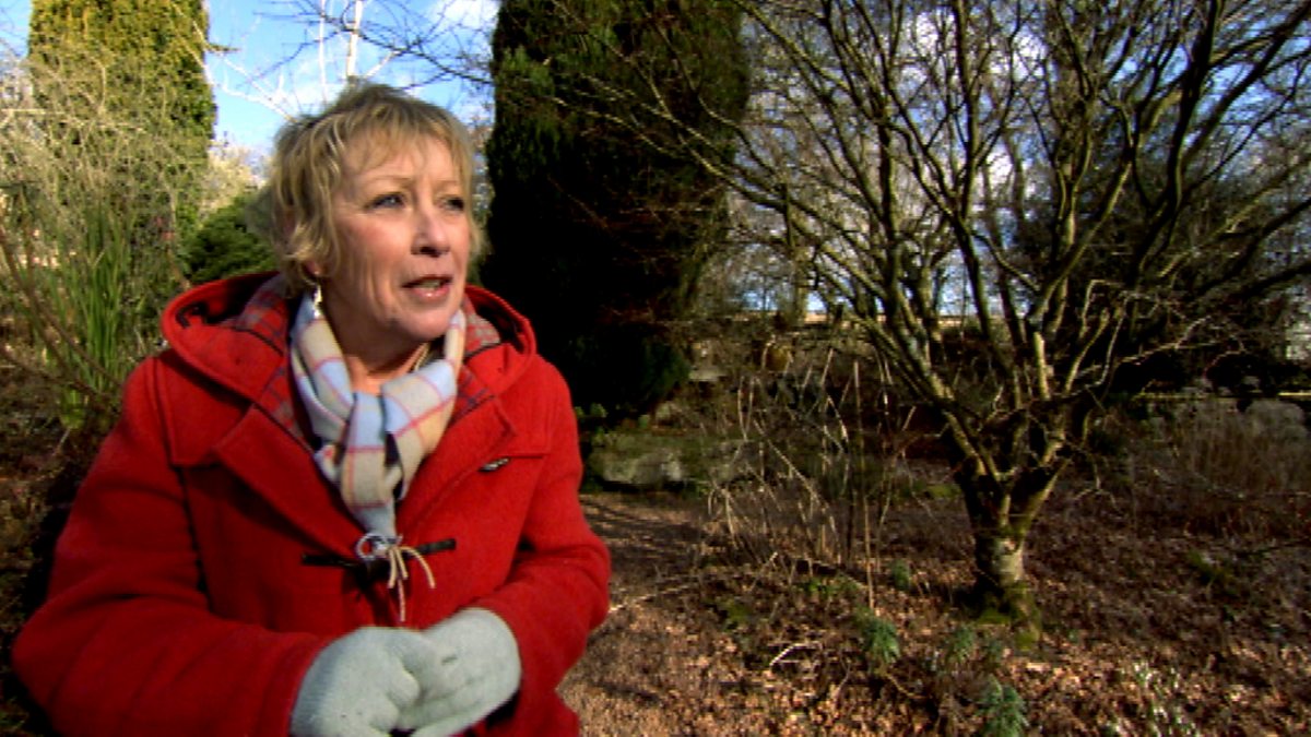 BBC Two - Life in a Cottage Garden with Carol Klein, Series 1, Winter