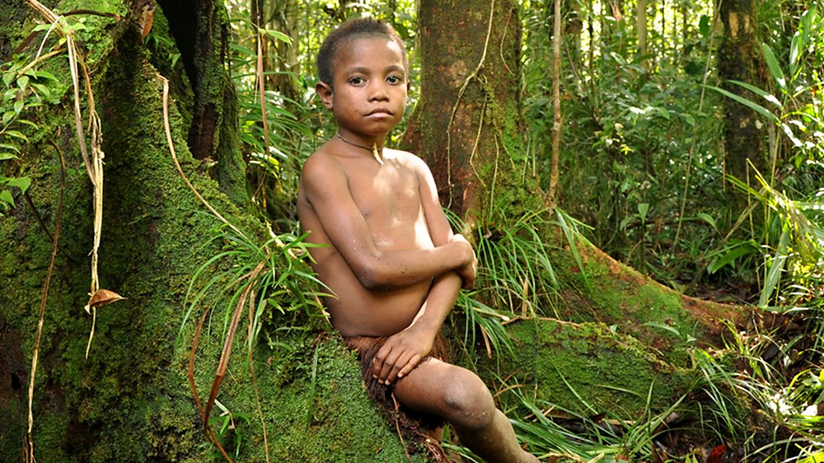 Негритянка в джунглях
