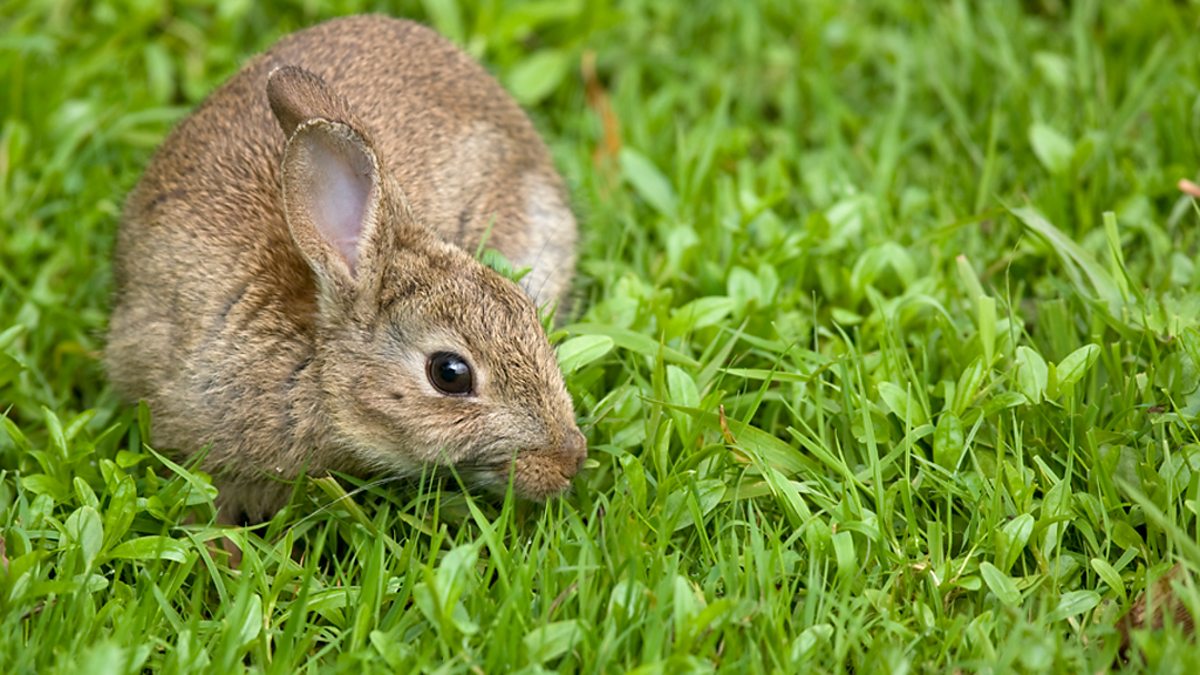 BBC Radio 4 - You and Yours, 09/05/2011