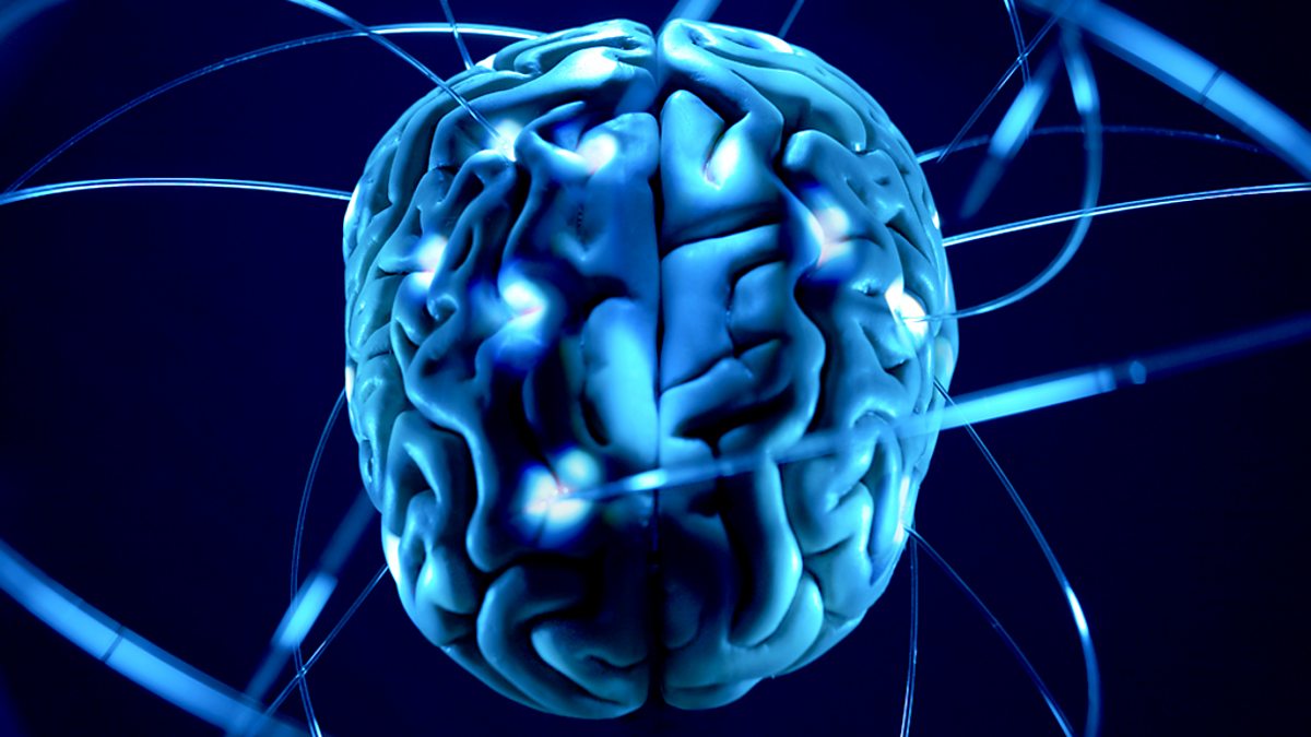Best vitamins and minerals for brain image 5