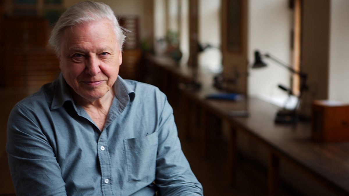 BBC World Service One A Global Audience With Sir David