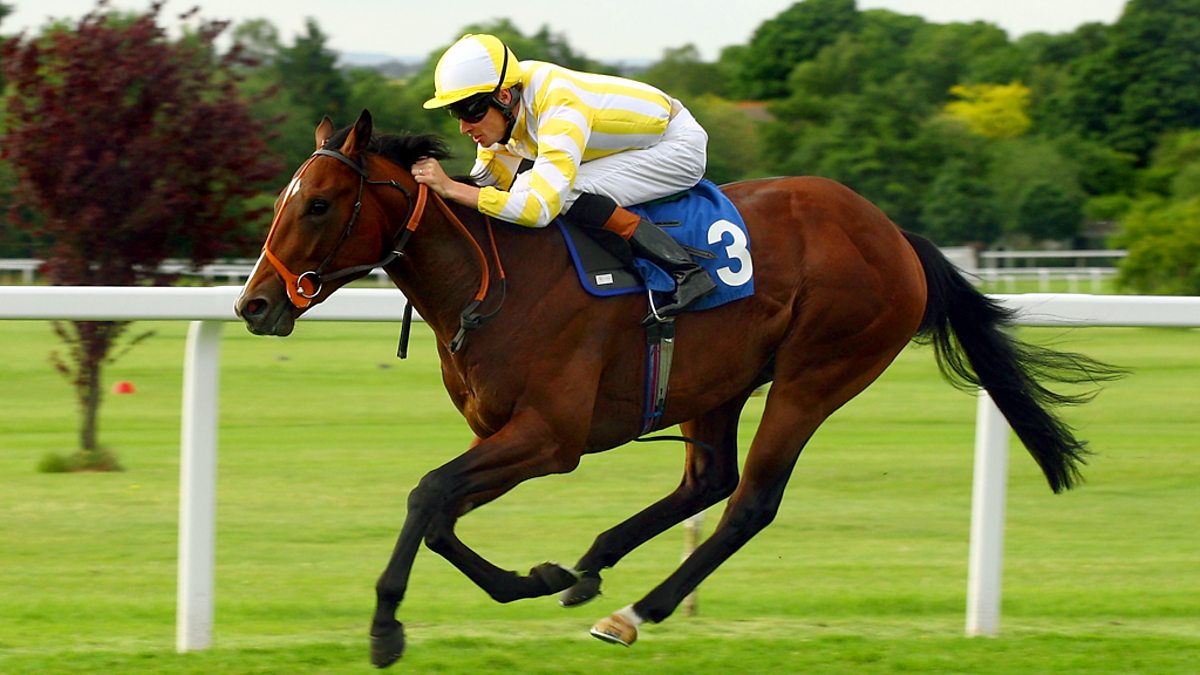 Bbc radio 5 live sports extra horse racing