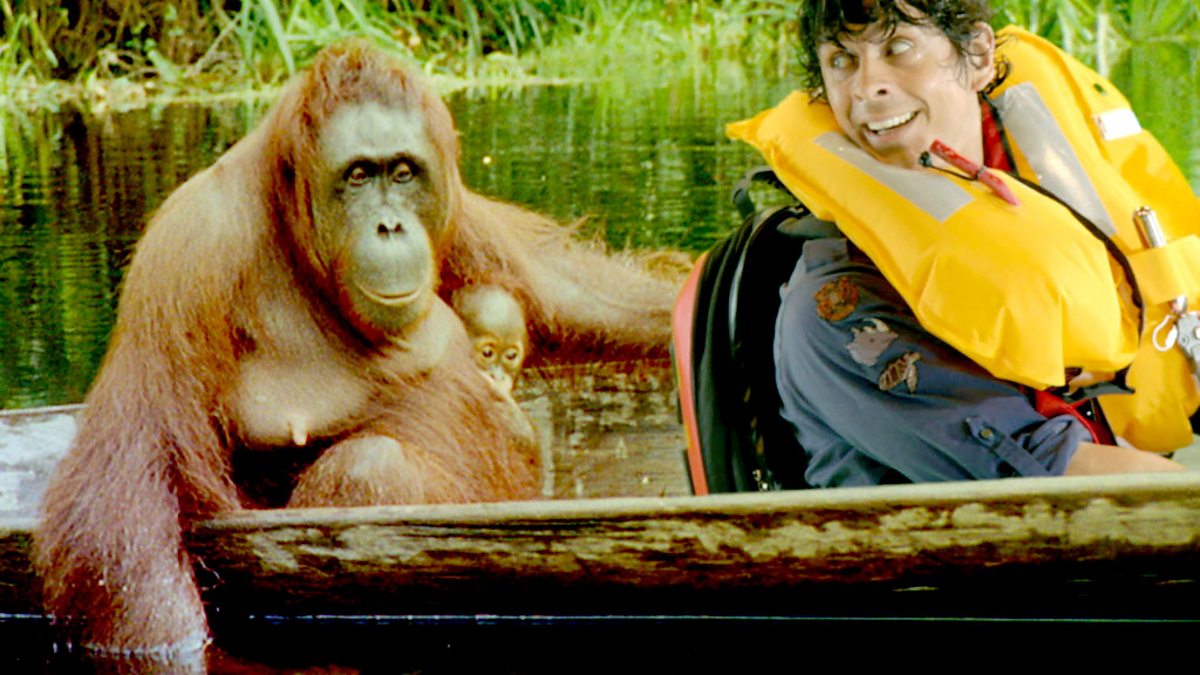 BBC - CBeebies - Andy's Wild Adventures, Series 2, Orangutans - Credits