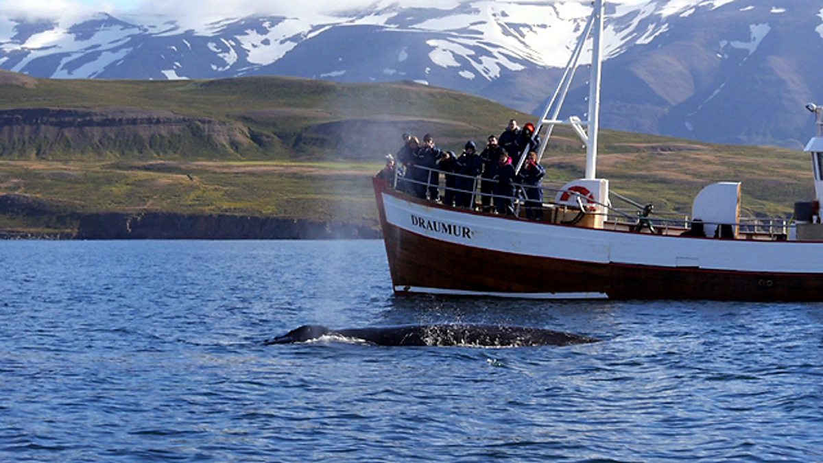 Bbc News - Fast Track, 28 09 2013 Gmt, Could Tourists' Hunger For 