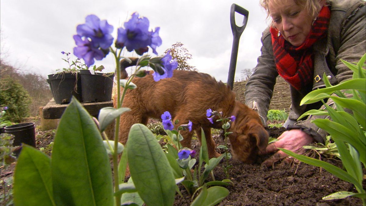 BBC Two - Life in a Cottage Garden with Carol Klein, Reversioned Series