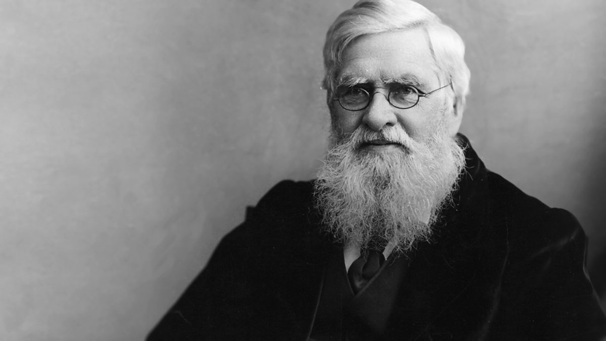 c Radio 4 In Our Time Alfred Russel Wallace