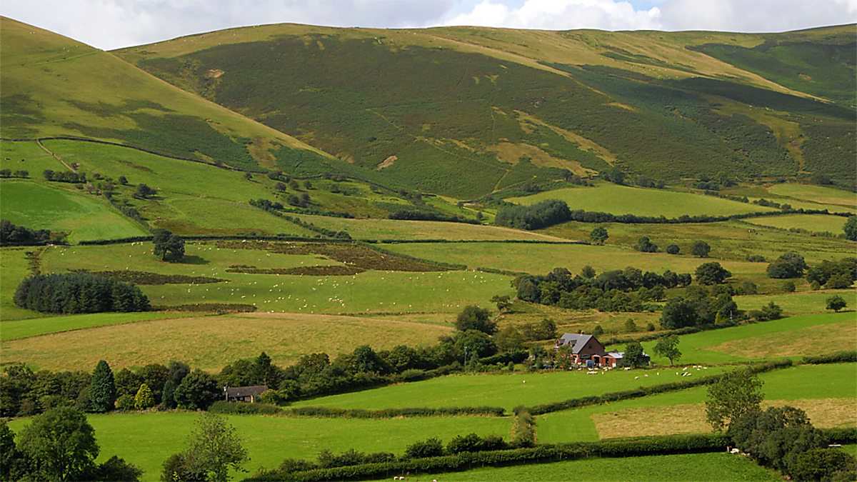 BBC Two - Natural World, 2006-2007, Wye - Voices from the Valley