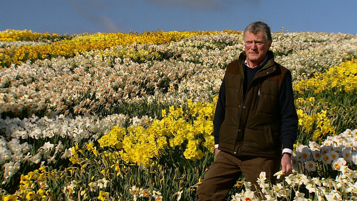 BBC Two Gardeners' World, 2013, Episode 25, Daffodil grower